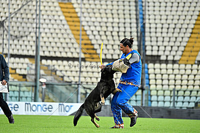 Osca di Casa Nosella