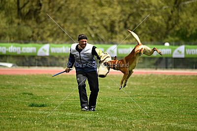 Othar des Pas des Betes