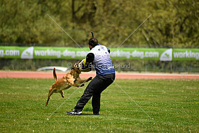 Othar des Pas des Betes