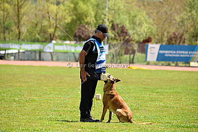 Othar des Pas des Betes