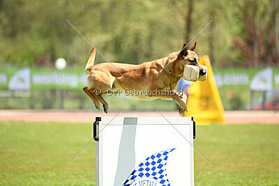 Othar des Pas des Betes