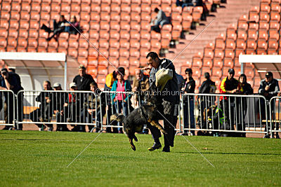Ouray vom Lisdorferland