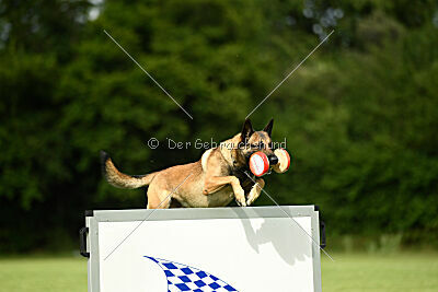 Ouzo von den brennenden Herzen