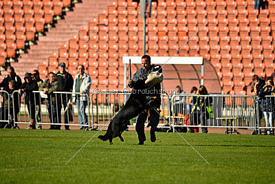 Packo vom Waisagrund