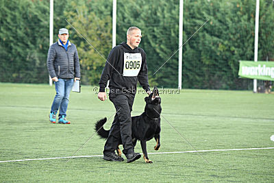 Packo vom Waisagrund