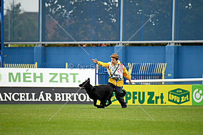 Pantera iz Vorta Wernogo