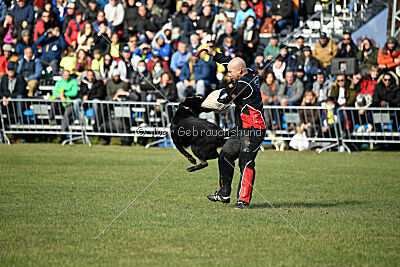 Panther z Berounské basty
