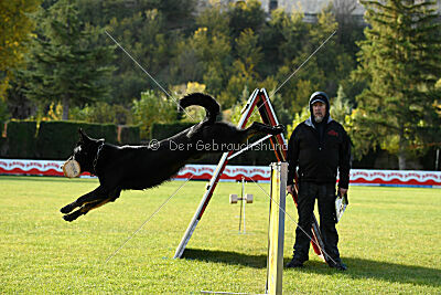 Panther z Berounské basty