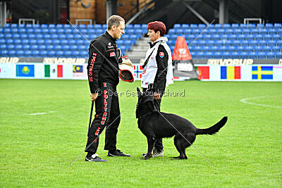 Panther z Berounské bašty