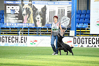 Panther z Berounské bašty