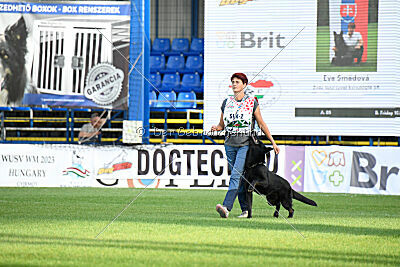 Panther z Berounské bašty