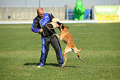 Parendo Vinces Alexander