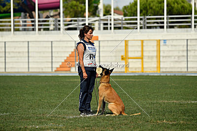 Parendo Vinces Alexander