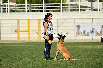 Parendo Vinces Alexander