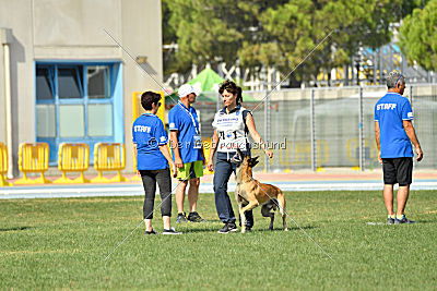 Parendo Vinces Alexander