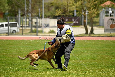 Parendo Vinces Always Dare