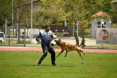 Parendo Vinces Always Dare