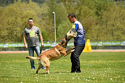 Parendo Vinces Always Dare