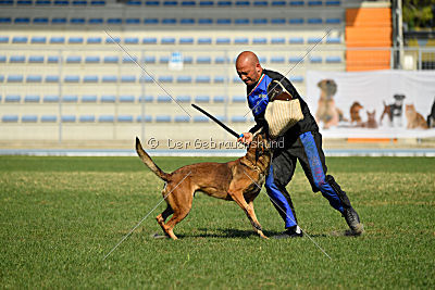 Parendo Vinces Cordell Walker