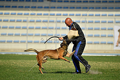 Parendo Vinces Cordell Walker