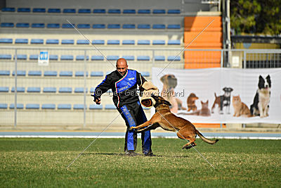 Parendo Vinces Cordell Walker