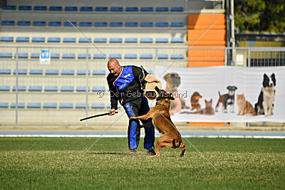 Parendo Vinces Cordell Walker