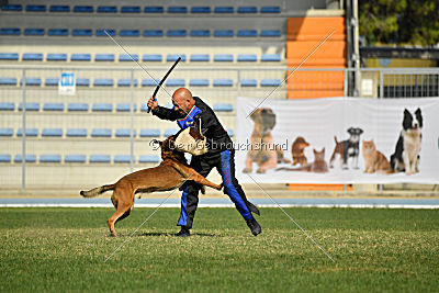 Parendo Vinces Cordell Walker