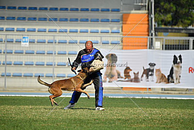 Parendo Vinces Cordell Walker