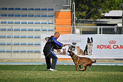 Parendo Vinces Cordell Walker