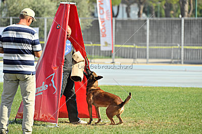 Parendo Vinces Cordell Walker