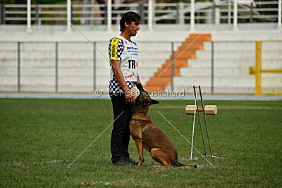 Parendo Vinces Cordell Walker