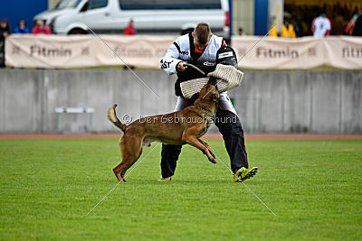 Parendo Vinces Cordell Walker