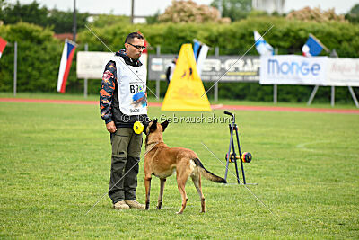 Parendo Vinces Fortunae Filius