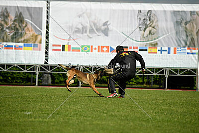 Paris du Banc des Hermelles