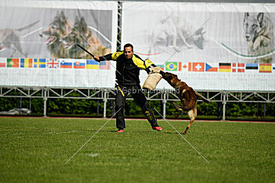 Paris du Banc des Hermelles