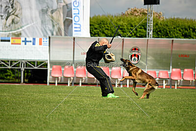 Paris du Banc des Hermelles