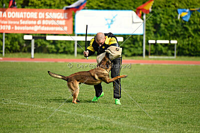 Paris du Banc des Hermelles