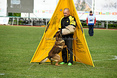 Paris du Banc des Hermelles