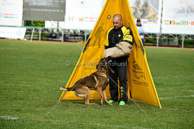 Paris du Banc des Hermelles
