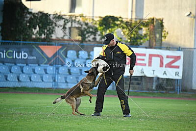 Paris du Banc des Hermelles