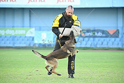 Paris du Banc des Hermelles