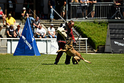 Patriot Dei Bonaccorso