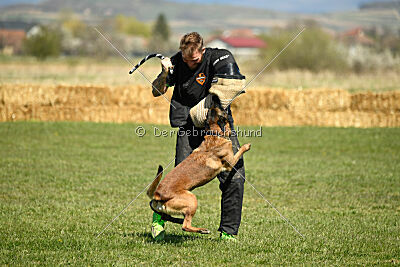 Patriot van de Berlex-Hoeve