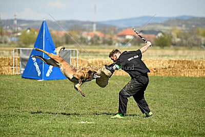 Patriot van de Berlex-Hoeve