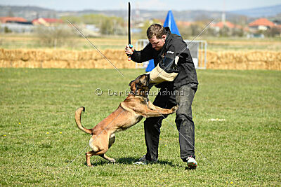 Patriot van de Berlex-Hoeve