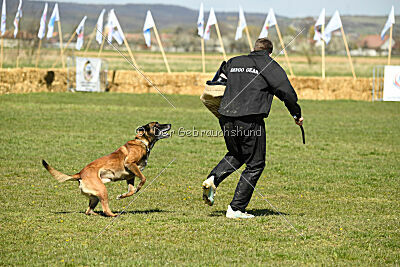 Patriot van de Berlex-Hoeve