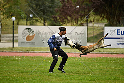 Patriot van de Berlex-Hoeve