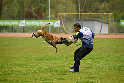 Patriot van de Berlex-Hoeve