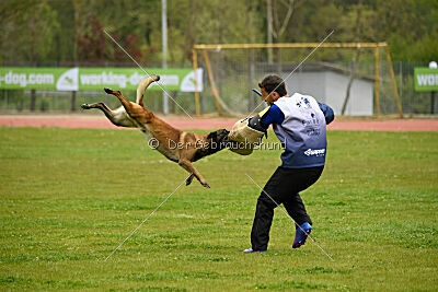 Patriot van de Berlex-Hoeve