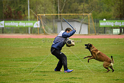 Patriot van de Berlex-Hoeve